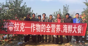 苹果树12月管理技术要点！抓紧时间看